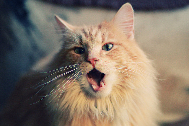 爱游戏体育账号注册-NBA开发“低视力观众导览APP”，推动无障碍观赛体验